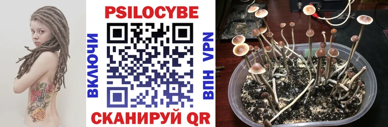 Галлюциногенные грибы GOLDEN TEACHER  Кувандык 